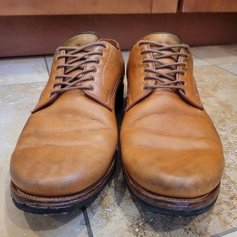 Viberg Derby Shoe in Shinki Camel Latigo Horsehide