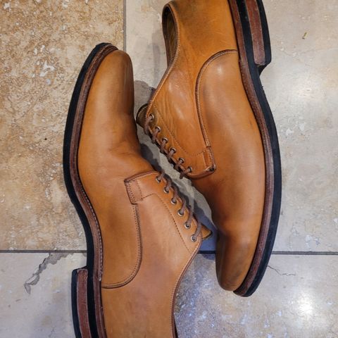 Viberg Derby Shoe in Shinki Camel Latigo Horsehide