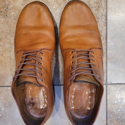 Viberg Derby Shoe in Shinki Camel Latigo Horsehide