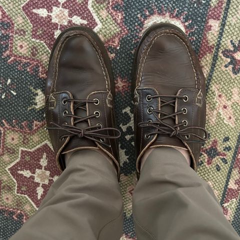 Oak Street Bootmakers Trail Oxford in Horween Brown Chromexcel