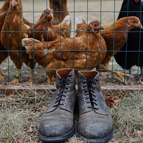 Grant Stone Garrison Boot in Gallun Teton Waxy Stag