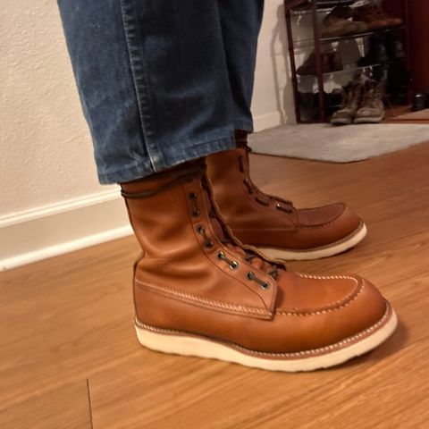 Red Wing 8-Inch Classic Moc in S.B. Foot Oro-Iginal