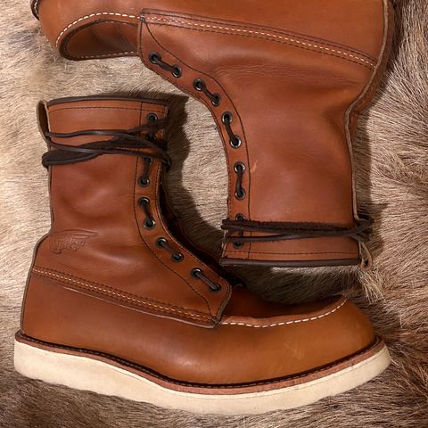 Red Wing 8-Inch Classic Moc in S.B. Foot Oro-Iginal
