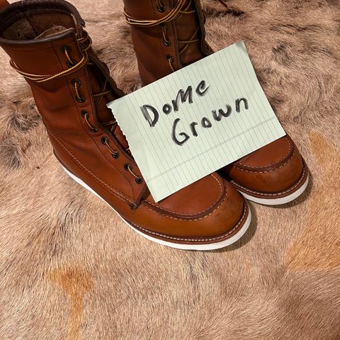 Red Wing 8-Inch Classic Moc in S.B. Foot Oro-Iginal
