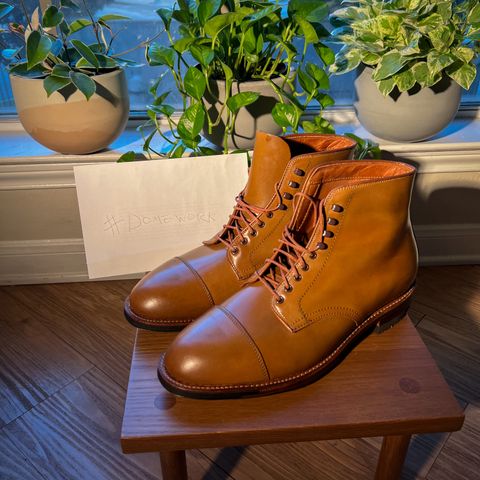 Alden Straight Tip Boot in Horween Whisky Shell Cordovan