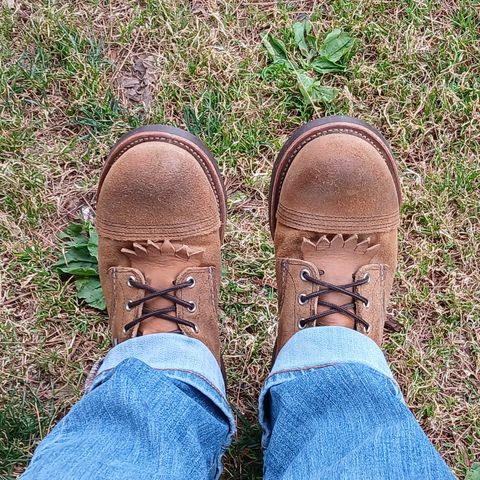 View photo of Red Wing Iron Ranger in S.B. Foot Hawthorne Muleskinner
