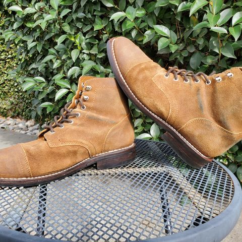 Thursday Captain in Safari WeatherSafe Suede
