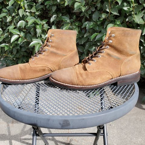 Thursday Captain in Safari WeatherSafe Suede