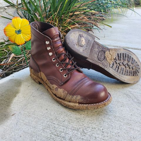 Red Wing Iron Ranger in S.B. Foot Amber Harness