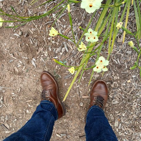 Red Wing Iron Ranger in S.B. Foot Amber Harness