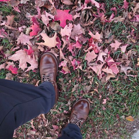 Red Wing Iron Ranger in S.B. Foot Amber Harness