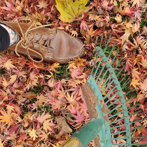 Oak Street Bootmakers Camp Boot in Horween Natural Chromexcel