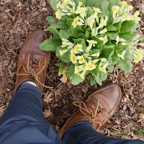 Oak Street Bootmakers Camp Boot in Horween Natural Chromexcel