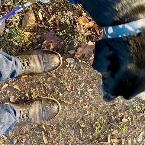 View photo of Grant Stone Garrison Boot in Black Waxed Deer