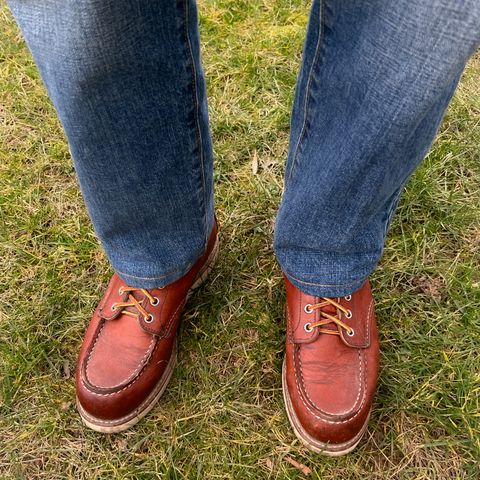 Search result thumbnail of Red Wing 6-Inch Classic Moc in S.B. Foot Oro Legacy