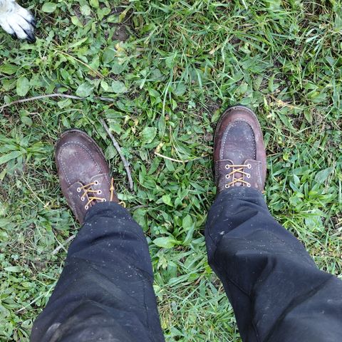 Red Wing Roughneck in S.B. Foot Briar Oil Slick