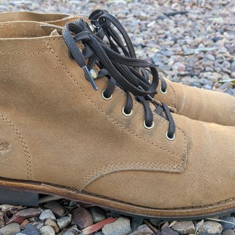 Danner Jack II in Bone Brown