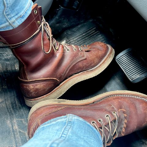 Nicks Traveler in Seidel 1964 Chocolate Smooth
