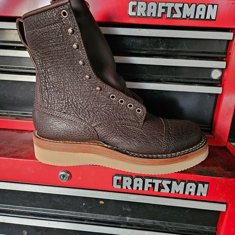 White's Rambler in Dark Brown Shark