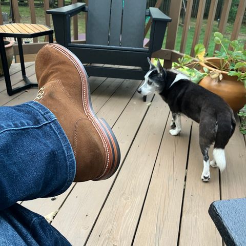 Grant Stone Diesel Boot in C.F. Stead Bourbon Repello Calf Suede
