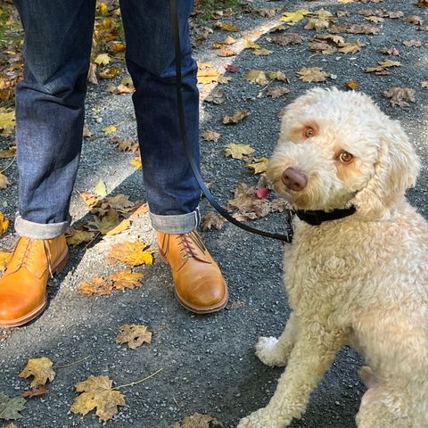 Viberg Officer Boot in Shinki Camel Latigo Horsehide