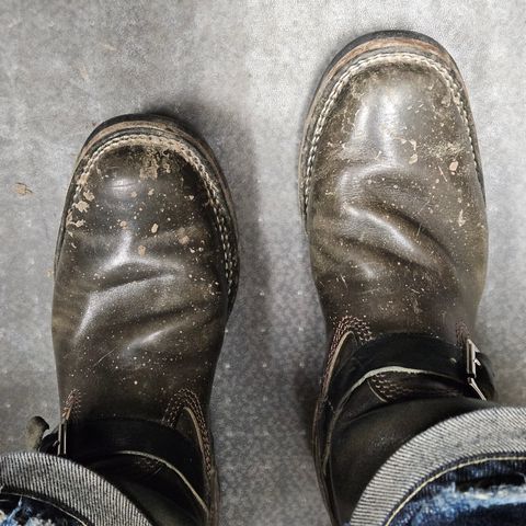 Wesco Mister Lou in Maryam Petrolio Waxed Black Horsehide