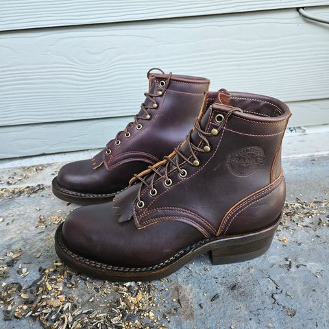 View photo of Frank's Boots Wilshire in Seidel Brown Domain