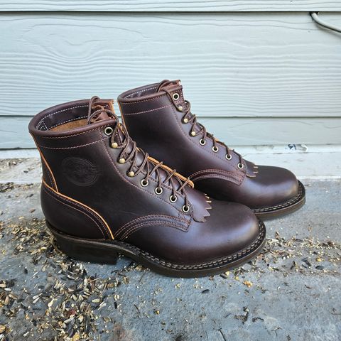 Search result thumbnail of Frank's Boots Wilshire in Seidel Brown Domain