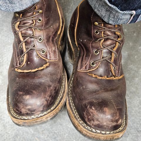 Search result thumbnail of Frank's Boots Wilshire in Seidel Brown Domain