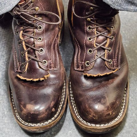 Frank's Wilshire in Seidel Brown Domain