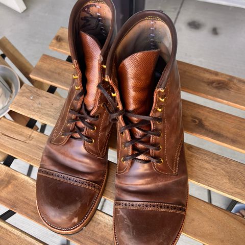 Iron Boots 5515 in Maryam Brown Shell Cordovan