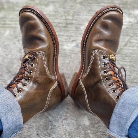 Willie's Handmade Boots Boondocker in Maryam Olive Horsebutt