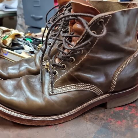 Willie's Handmade Boots Boondocker in Maryam Olive Horsebutt