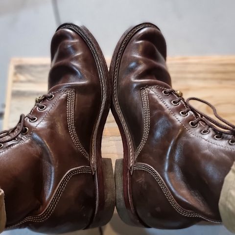 Willie's Handmade Boots Boondocker in Maryam Olive Horsebutt