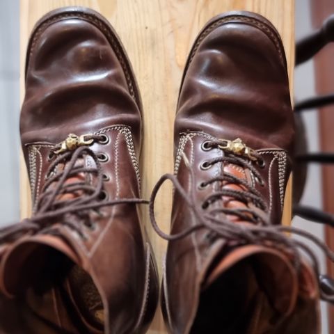 Willie's Handmade Boots Boondocker in Maryam Olive Horsebutt
