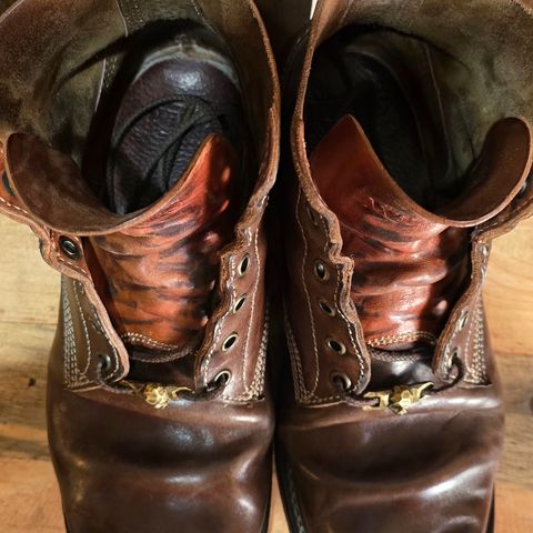 Willie's Handmade Boots Boondocker in Maryam Olive Horsebutt
