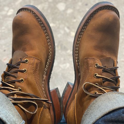 Nicks Robert in Horween Orange Predator