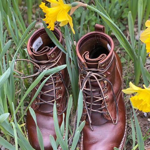 View photo of Nicks Robert in Horween Orange Predator