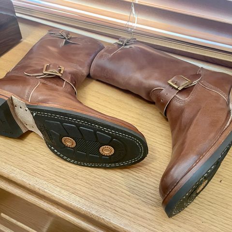 Wesco Mister Lou in Maryam Toscanello TPR Horsebutt