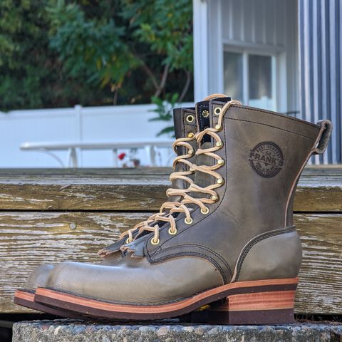 Frank's Unknown Model in Wickett & Craig Ash Grey Traditional Harness