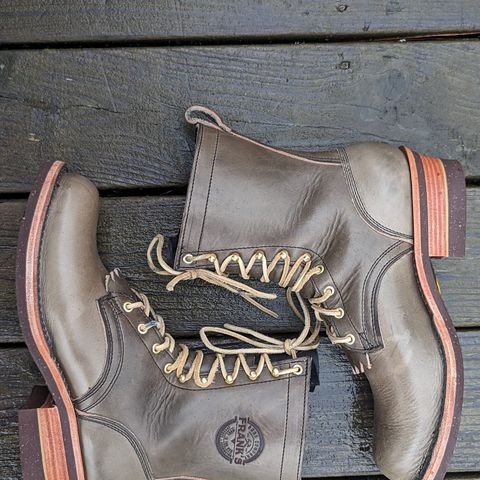 Frank's Unknown Model in Wickett & Craig Ash Grey Traditional Harness