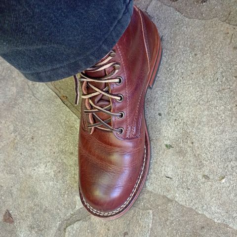 Nicks Falcon in Italian Brown Cypress