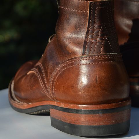 Nicks Falcon in Italian Brown Cypress