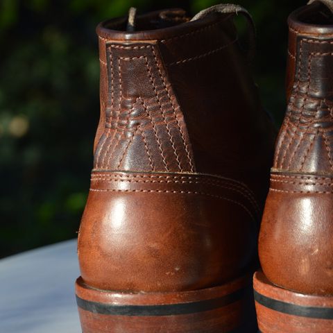 Nicks Falcon in Italian Brown Cypress