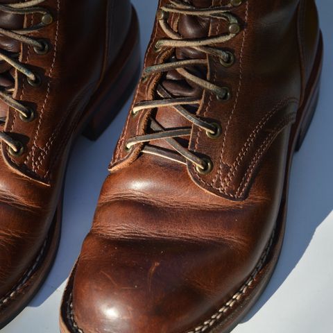 Nicks Falcon in Italian Brown Cypress