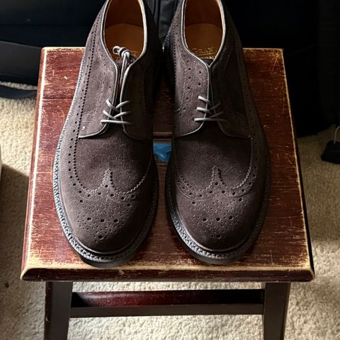 Grant Stone Espresso Longwings in C.F. Stead Espresso Classic Oiled Shoulder