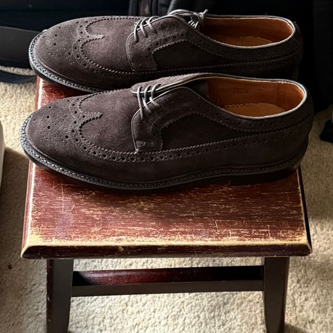 Grant Stone Espresso Longwings in C.F. Stead Espresso Classic Oiled Shoulder