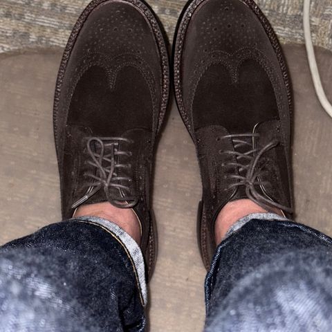 Grant Stone Espresso Longwings in C.F. Stead Espresso Classic Oiled Shoulder