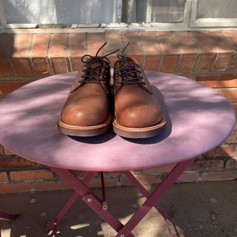 Red Wing Foreman Oxford in S.B. Foot Amber Harness