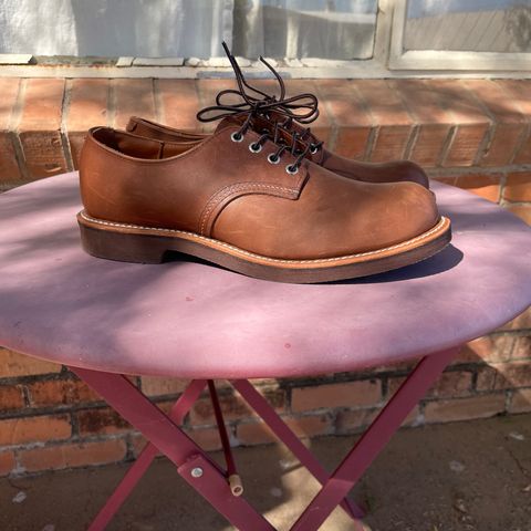 Red Wing Foreman Oxford in S.B. Foot Amber Harness